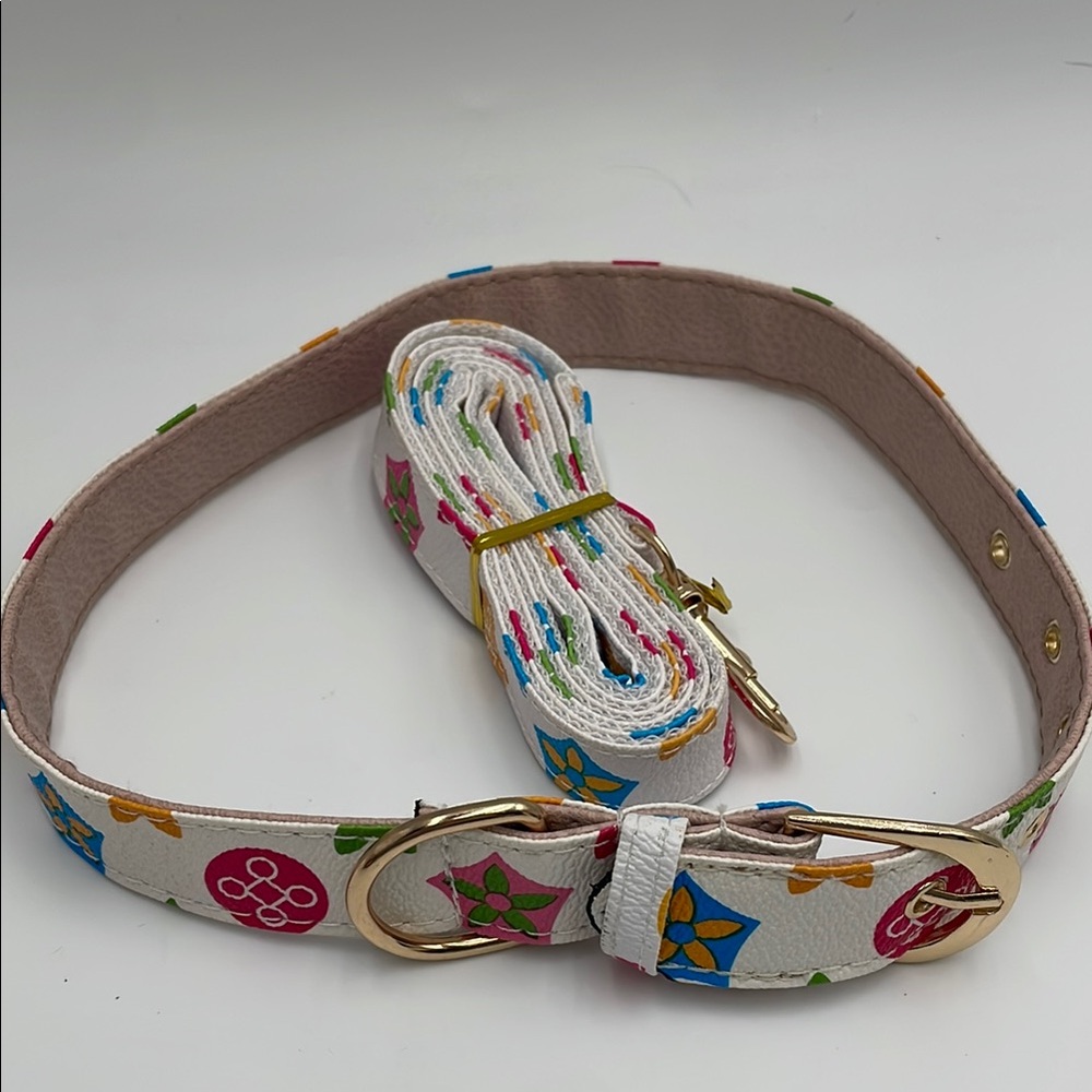 Dog collar and leash